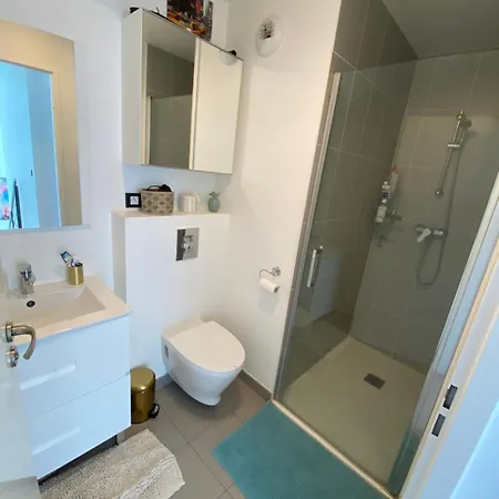 Magnifique Duplex Avec Terrasse * Romainville